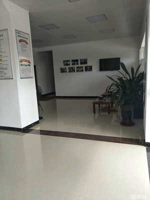 江門市益寧商貿 探索城市商貿發展的新路徑